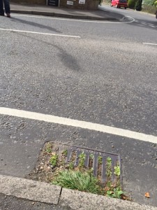 This drain wasn't cleared last time- but it needs to be done regularly - there'll more to pay for if it isn't cleared more often than the proposed 'once every three years' quoted to me recently..